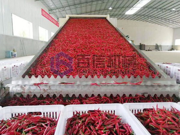 工業(yè)辣椒烘干機(jī)