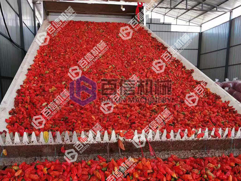 皺皺椒烘干機(jī)