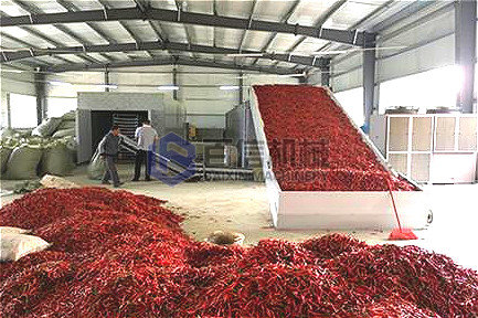 小型網帶式辣椒烘干機