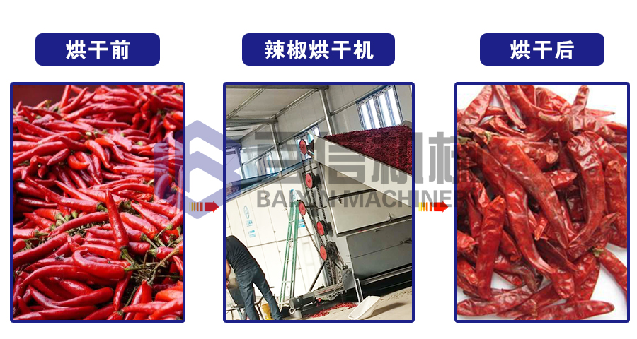 大型辣椒烘干機(jī)